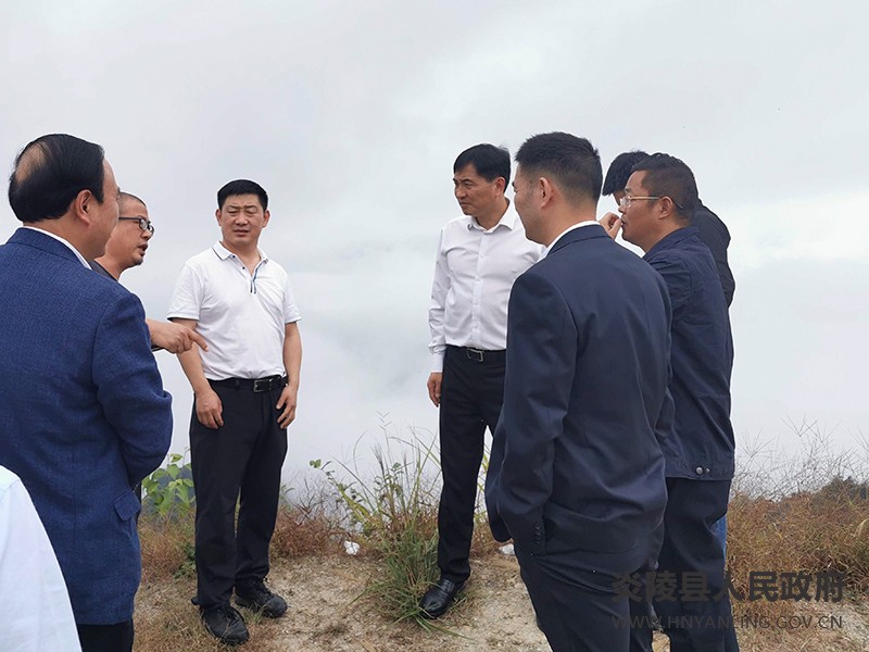 尹朝晖实地调研推进远山蓝旅游项目(图1)