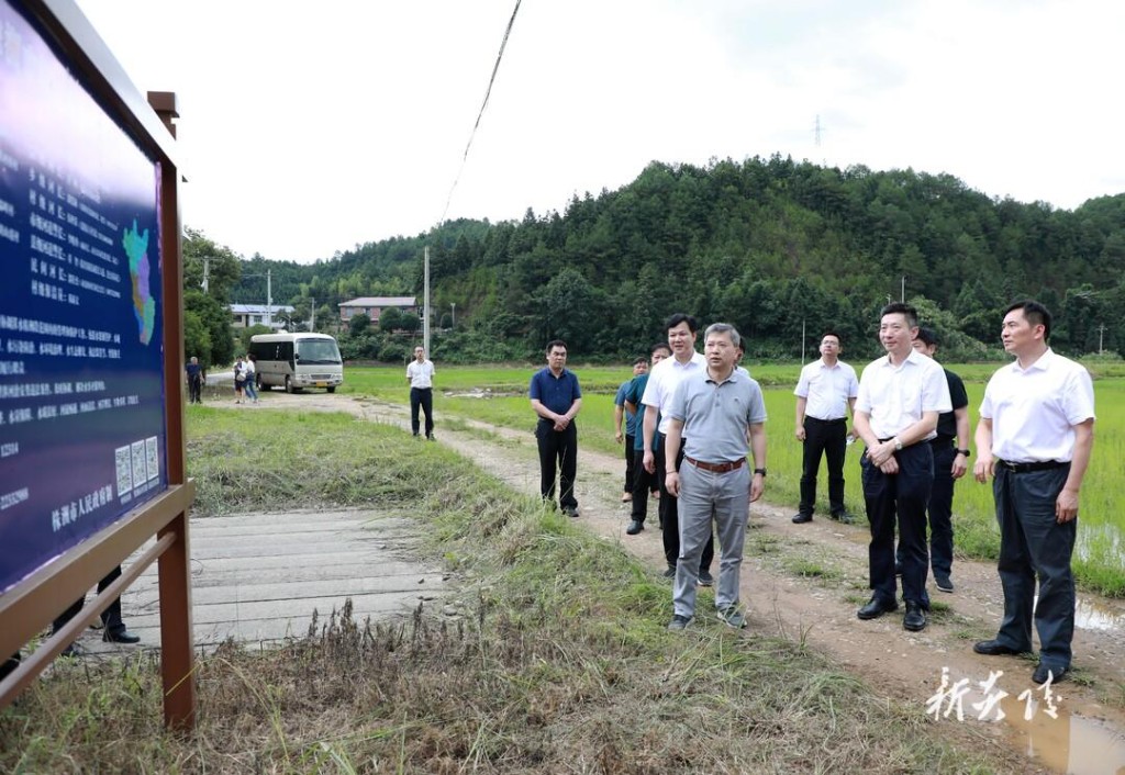 胡长春来炎调研指导乡村振兴并开展巡河工作(图1)