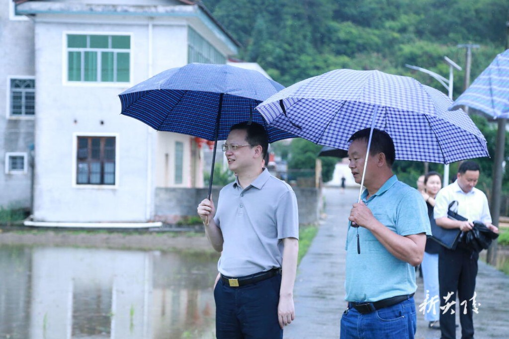 夏胜利在水口镇调研乡村振兴并开展巡田工作