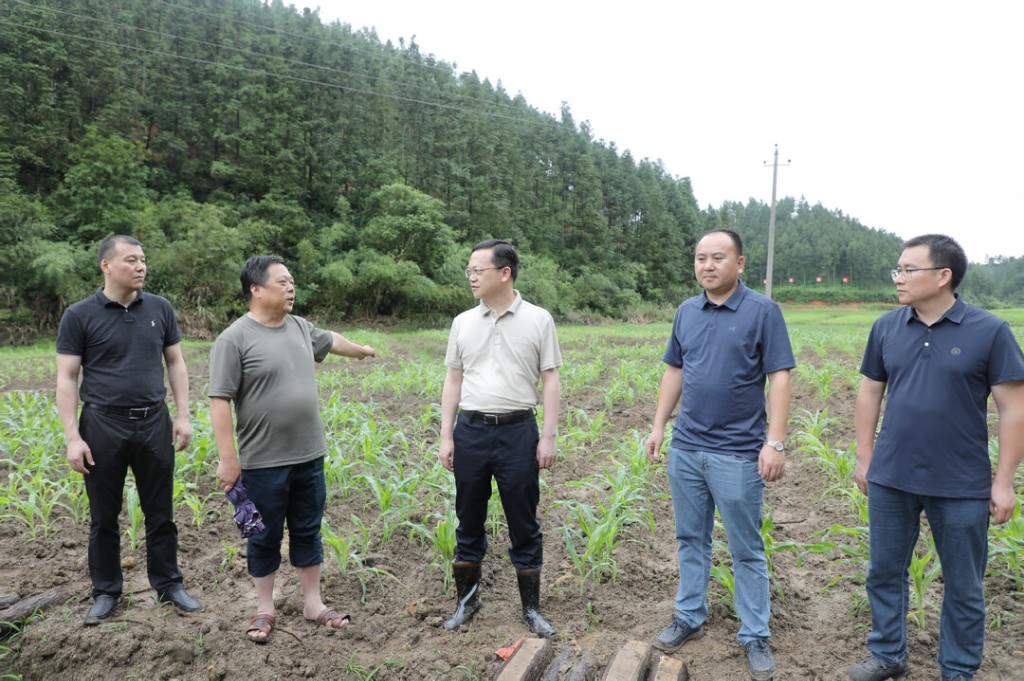 夏胜利带队调研耕地恢复工作并召开现场观摩会(图1)